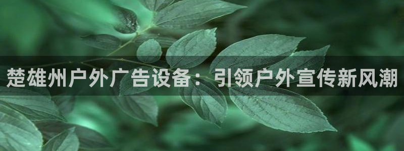 杏宇官方平台官网入口：楚雄州户外广告设备：引领户外宣传新风潮