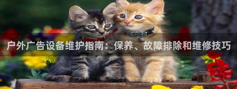 杏宇平台登陆