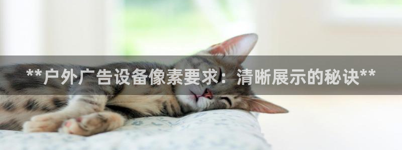 杏宇官方平台官网入口
