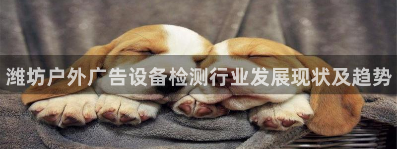 杏宇平台代理多少钱一个