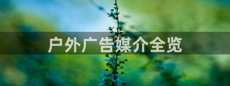 杏宇平台提现为什么这么久呢