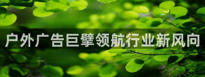 杏宇平台怎么样