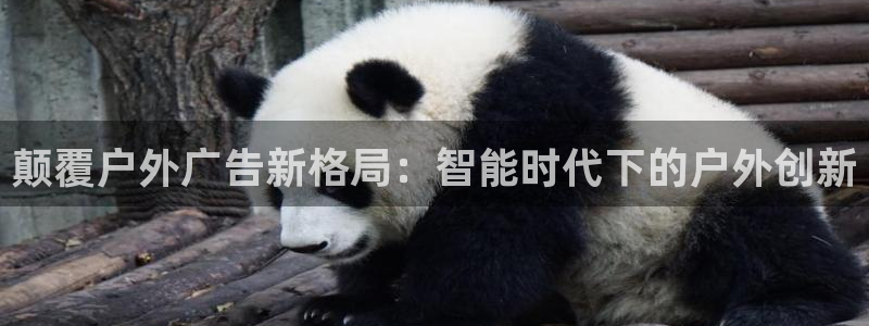 杏宇平台登录步骤是什么