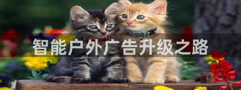 杏宇平台代理怎么赚钱的