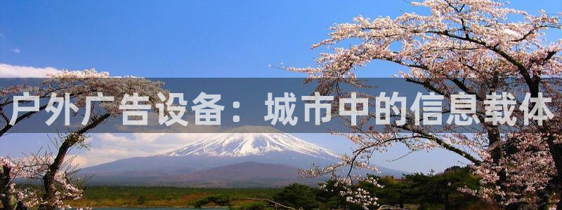 杏宇平台代理多少钱一个