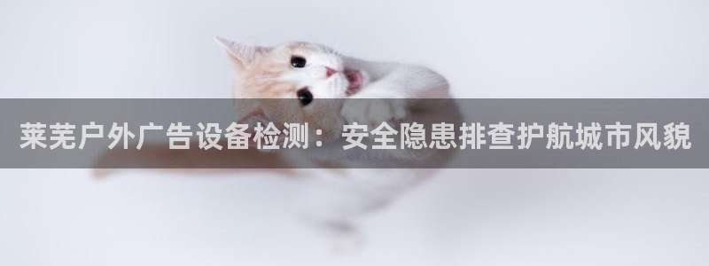 杏宇平台代理多少钱一个