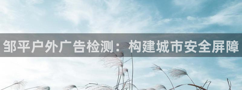 杏宇官方平台官网