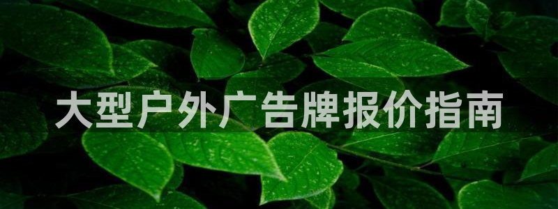 杏宇平台怎么样