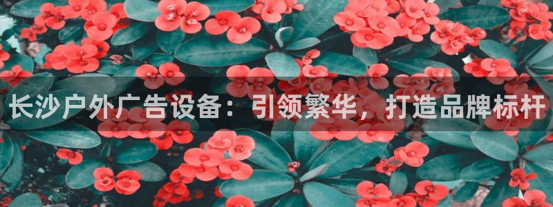 杏宇平台客服