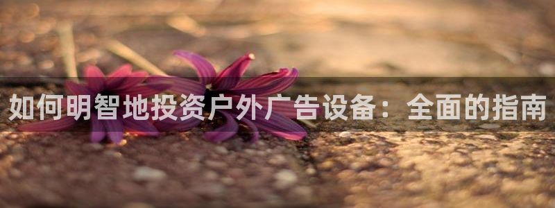 杏宇平台是什么