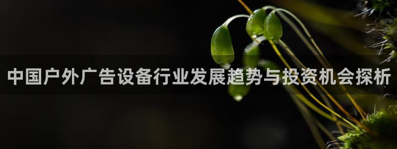 杏宇官方平台官网