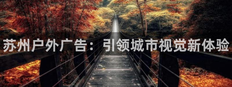 杏宇平台登录步骤