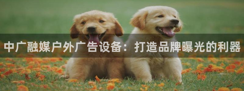 杏宇平台官网注册