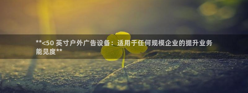 杏宇平台开户