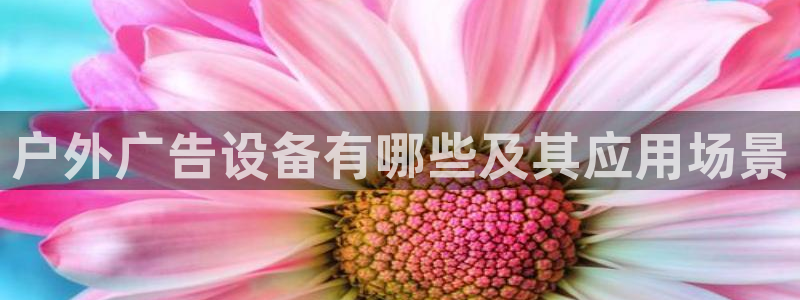 杏宇平台代理怎么样赚钱