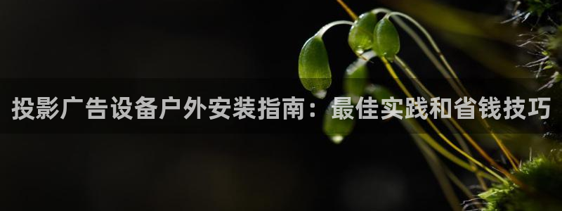 杏宇平台招商