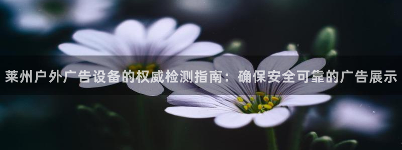 杏宇平台主管