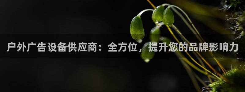杏宇平台代理多少钱一次