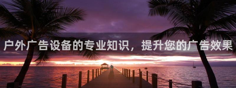 杏宇平台是什么