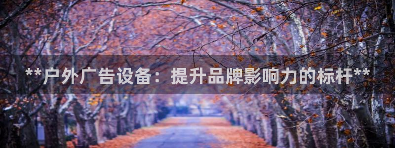 杏宇平台登录步骤图