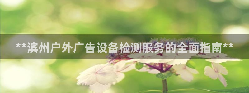 杏宇平台是什么