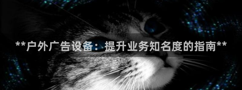 杏宇平台代理怎么样赚钱：**户外广告设备：提升业务知名度的指南**