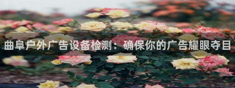 杏宇平台总代理是谁：曲阜户外广告设备检测