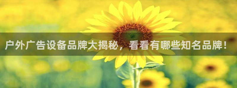 杏宇平台代理多少钱一个月：户外广告设备品