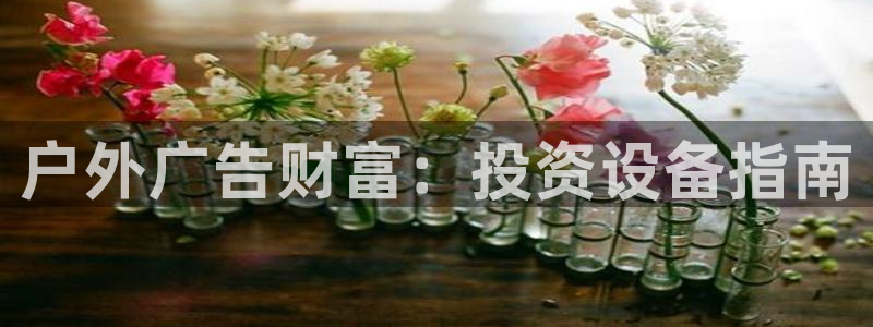 杏宇平台代理怎么赚钱的：户外广告财富：投