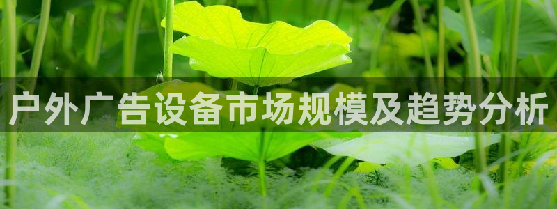 杏宇平台提现为什么这么久呢：户外广告设备